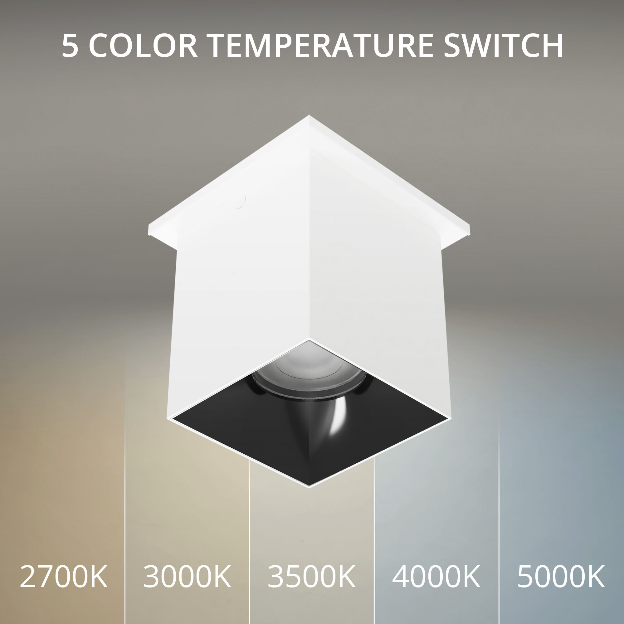 Zoron LED 3.63 inch White and Black Outdoor Ceiling Lighting in White/Black