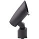 Colorscaping Black 15 watt LED Spot and Flood Lighting