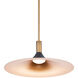 Cochere LED 18 inch Black Gold Aged Brass Pendant Ceiling Light, dweLED