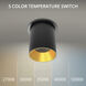 Zoron LED 3.63 inch Black and Gold Outdoor Ceiling Lighting in Black/Gold