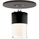 Twist-N-Lite LED 5 inch Black Flush Mount Ceiling Light