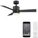 San Francisco 44 inch Matte Black Downrod Ceiling Fans, Smart Fan