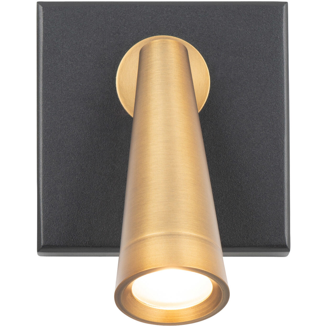 Arne Reading Light Wall Light in Black Aged Brass, dweLED