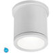 Tube LED 4.5 inch White Outdoor Flush