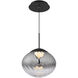 Swayzey LED 9.5 inch Powder Coated Black Mini-Pendant Ceiling Light in Black Smoke Glass, dweLED