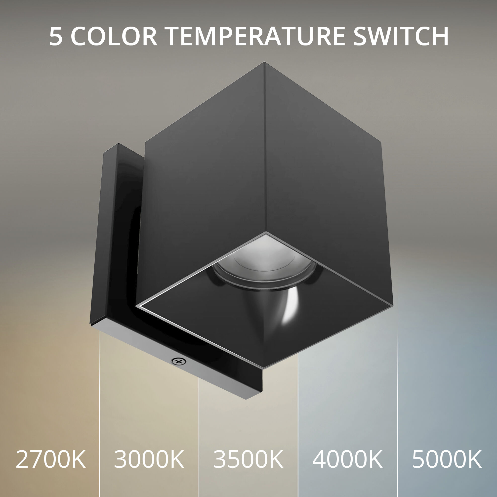 Zoron LED 4.25 inch Black Outdoor Wall Lighting