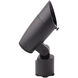 Colorscaping Black Low Voltage Accent Light, Colorscaping
