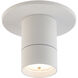 Twist-N-Lite 1 Light 2.38 inch Flush Mount