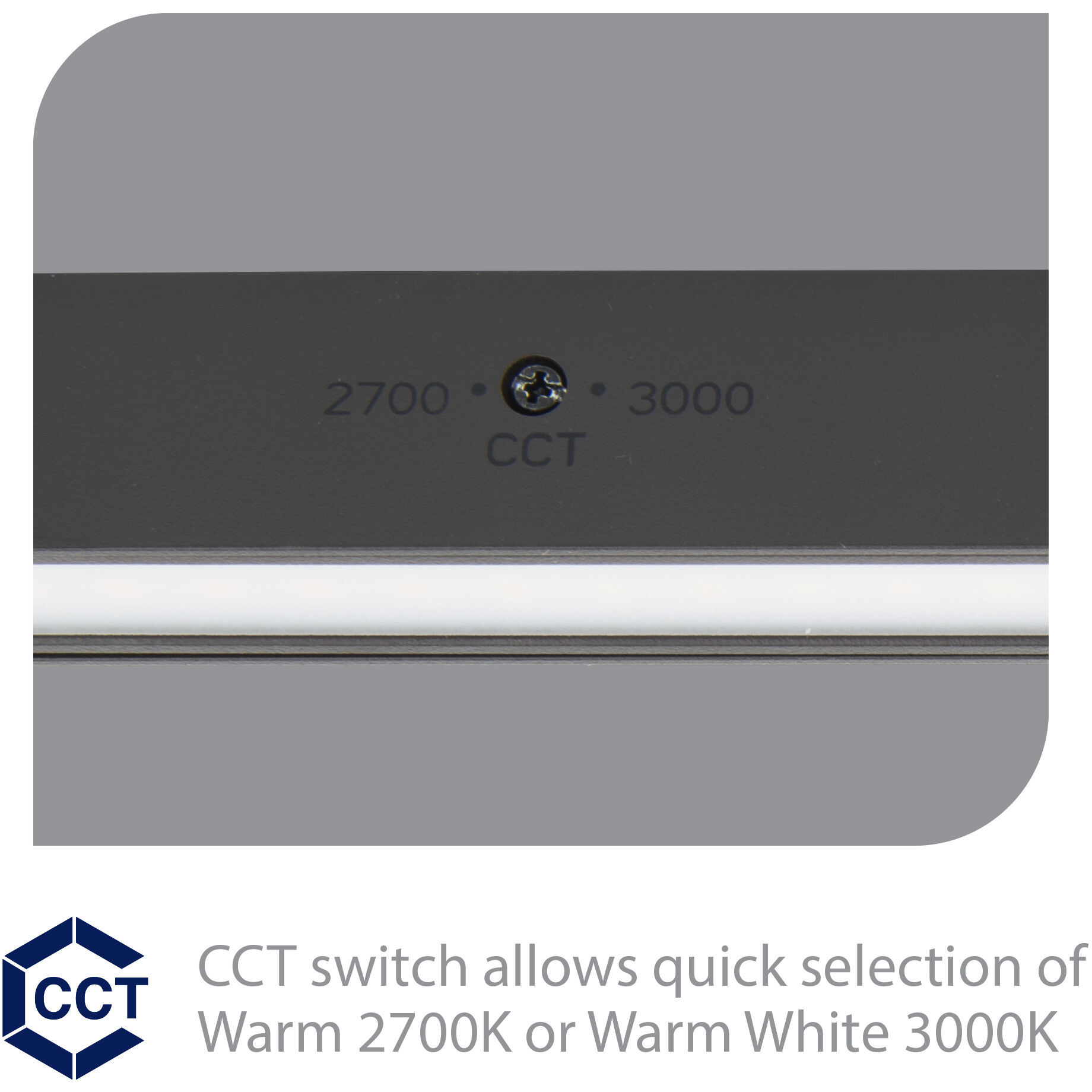 Tyler 12 7 watt Solid Brass Coated in Bronze Hardscape Lighting in Bronze on Brass, WAC Landscape