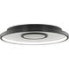 Pinpoint LED 16.38 inch Black Flush Mount Ceiling Light in 4000K, dweLED