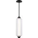 Portos LED 6 inch Black Outdoor Mini-Pendant, dweLED