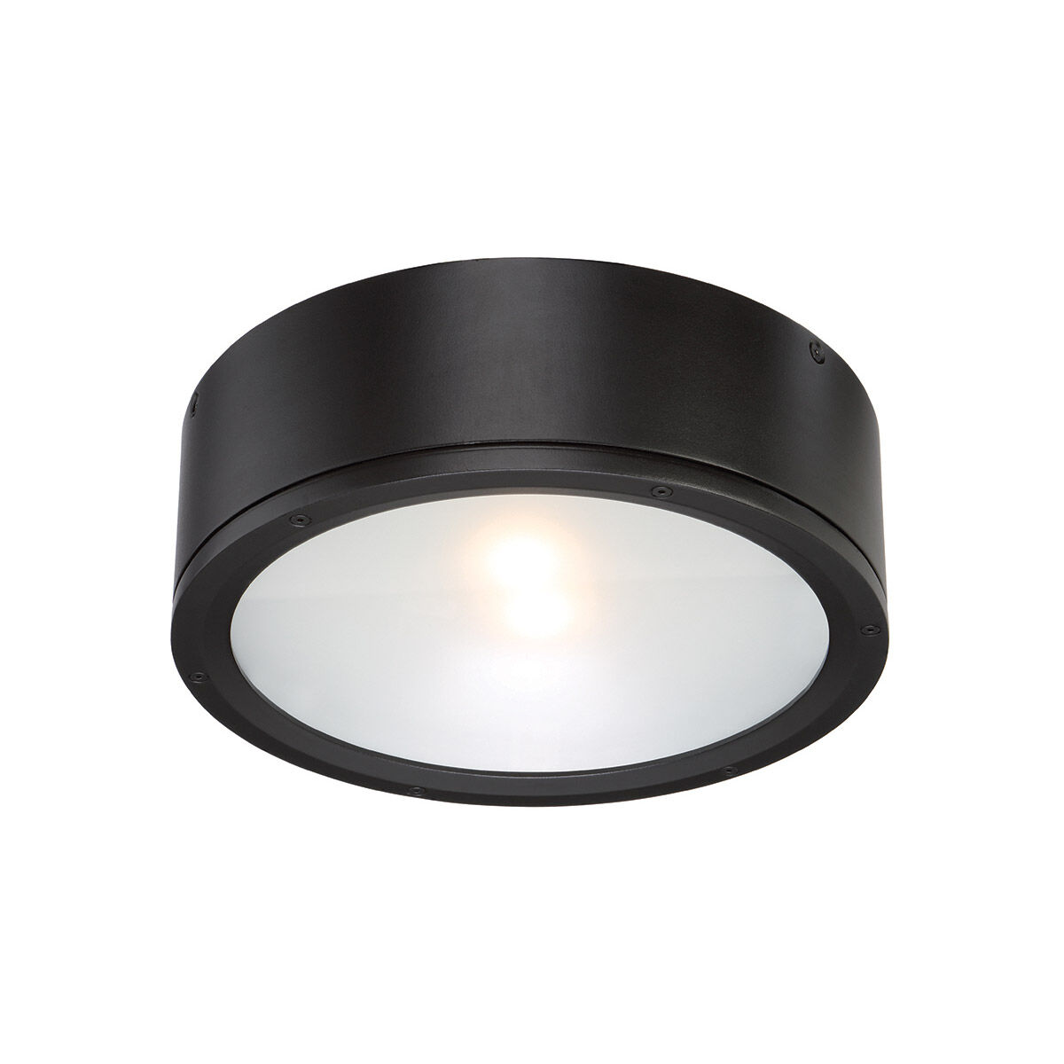 Tube LED 12 inch White Outdoor Flush