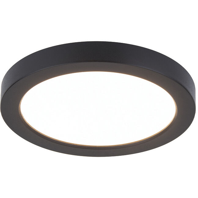 Black round flush deals mount ceiling light