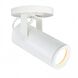 Silo 1 Light 2.73 inch Spot Light