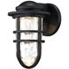Steampunk LED 9.5 inch Black Outdoor Wall Light, dweLED