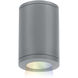 Tube Arch LED 4.88 inch Graphite Outdoor Flush in Flood, 90, Color Changing