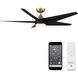Viper 60.00 inch Indoor Ceiling Fan