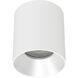 Zoron LED 3.63 inch White and Haze Outdoor Ceiling Lighting in White/Haze