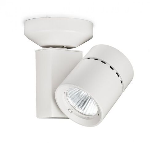 Exterminator II LED 4.5 inch White Flush Mount Ceiling Light in 85, 2700K