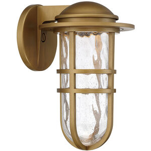 Steampunk LED 13 inch Aged Brass Outdoor Wall Light in 13in, dweLED