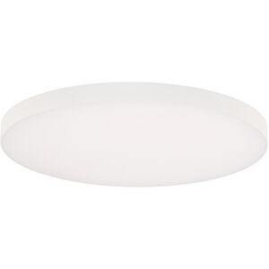 Edgeless Round LED 12 inch White Flush Mount Ceiling Light