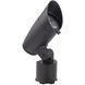 Colorscaping Black 15 watt LED Spot and Flood Lighting