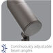 WAC InterBeam Black Low Voltage Accent Light in 3000K Warm White LED, WAC Landscape