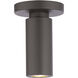 Caliber 1 Light 2.63 inch Bronze Flush Mount Ceiling Light