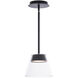 Chandra LED 8 inch Black Mini-Pendant Ceiling Light, dweLED