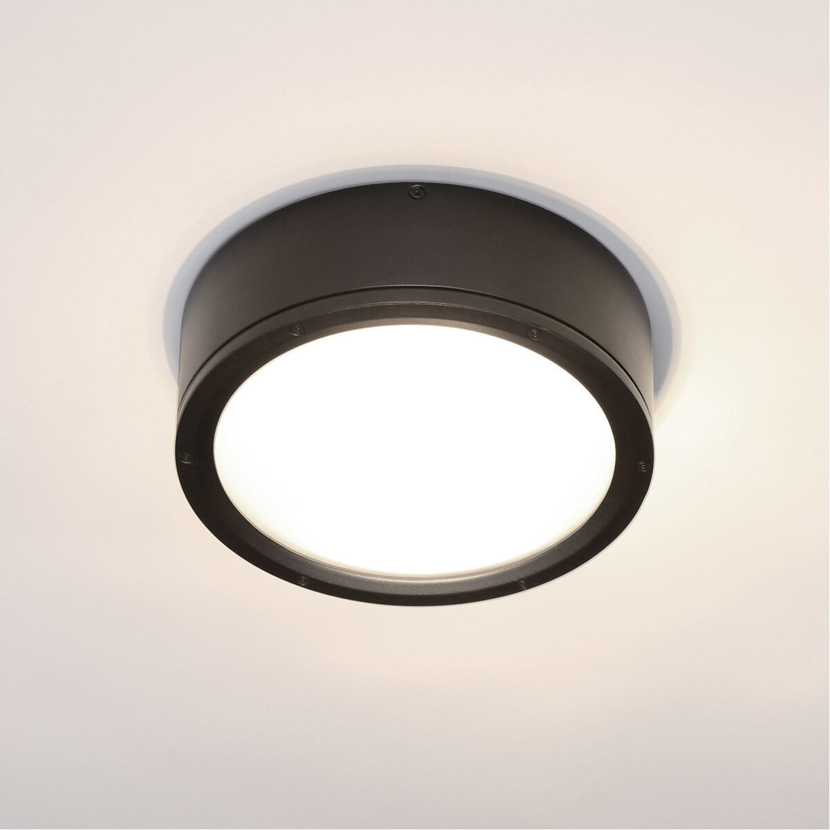 Tube LED 12 inch Bronze Outdoor Flush
