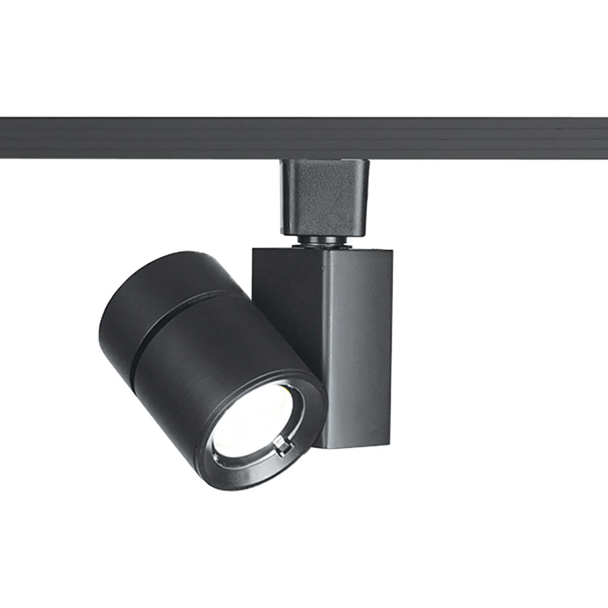 Exterminator II 1 Light 120 Black H Track Fixture Ceiling Light in 3500K