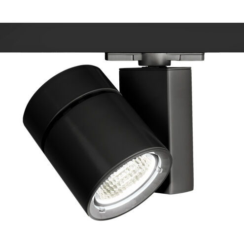 Exterminator II 1 Light 120 Black Track Head Ceiling Light in Narrow, 85, 2700K