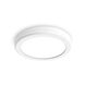 Geos LED 10 inch White Ceiling Mount Ceiling Light