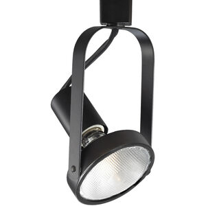 TK-765 1 Light 120 Black H Track Fixture Ceiling Light