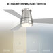 Hug 44 inch Brushed Nickel with Titanium Silver Blades Flush Mount Ceiling Fan