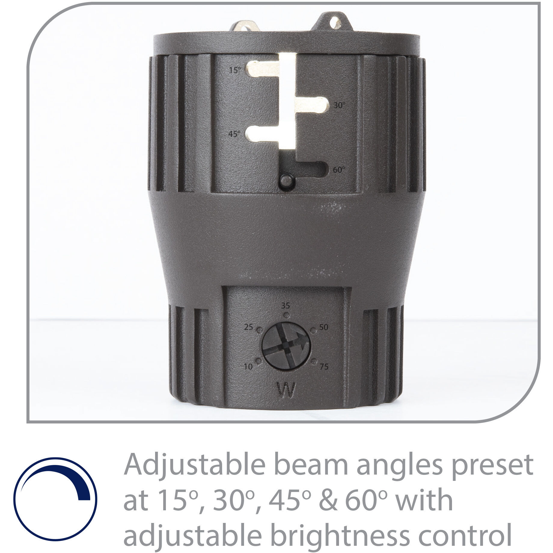 Tyler 12 Bronze Path Lighting in 2700K