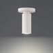 Caliber LED 2.63 inch White Flush Mount Ceiling Light, dweLED