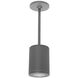 Tube Arch LED 5 inch Graphite Outdoor Pendant in Spot, 90, 3000K