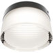 Balto III LED 5.38 inch Black Outdoor Flush Mount, dweLED