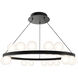 Carousel LED 28 inch Black Chandelier Ceiling Light in 3000K, dweLED