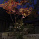 Colorscaping Bronze Low Voltage Accent Light, Colorscaping
