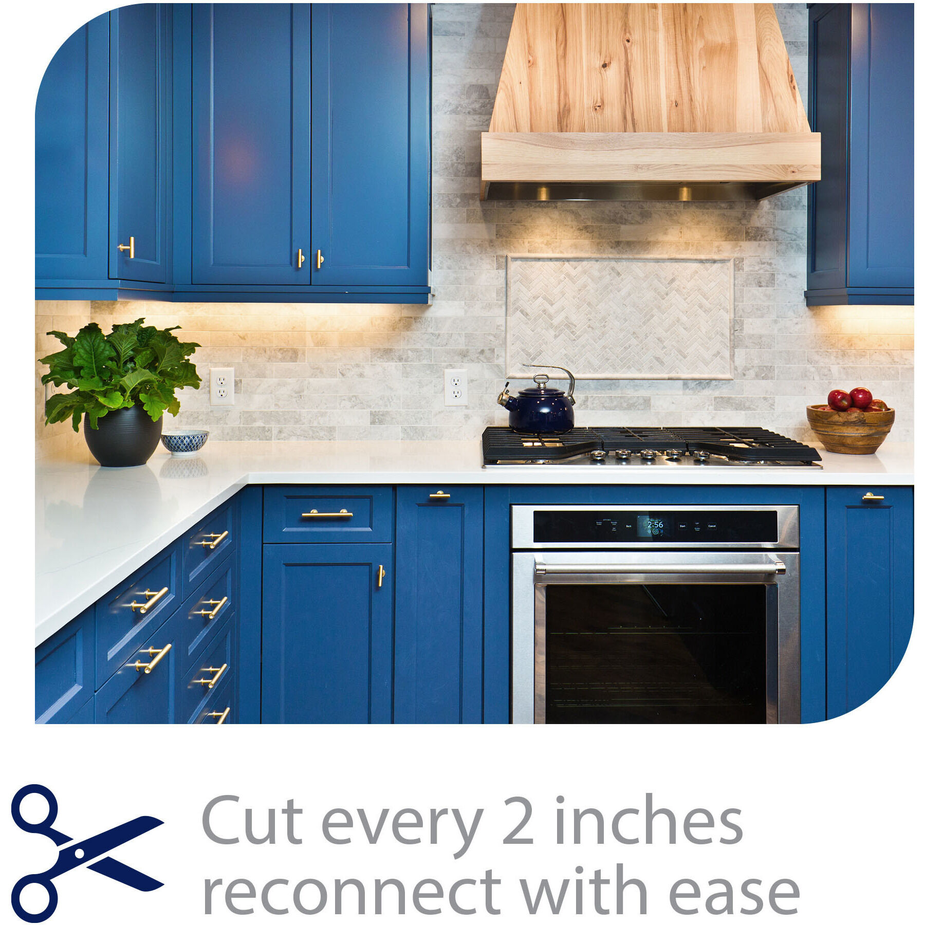 Gemini 24 LED 180 inch White LED Tape Lighting in 3000K, WAC Limited