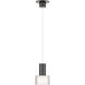 Twist-N-Lite LED 5 inch Black Mini-Pendant Ceiling Light