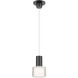 Twist-N-Lite LED 5 inch Black Mini-Pendant Ceiling Light