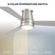 Hug 52 inch Brushed Nickel with Titanium Silver Blades Flush Mount Ceiling Fan
