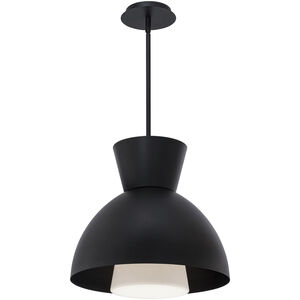 Carafe LED 16 inch Black Pendant Ceiling Light, dweLED