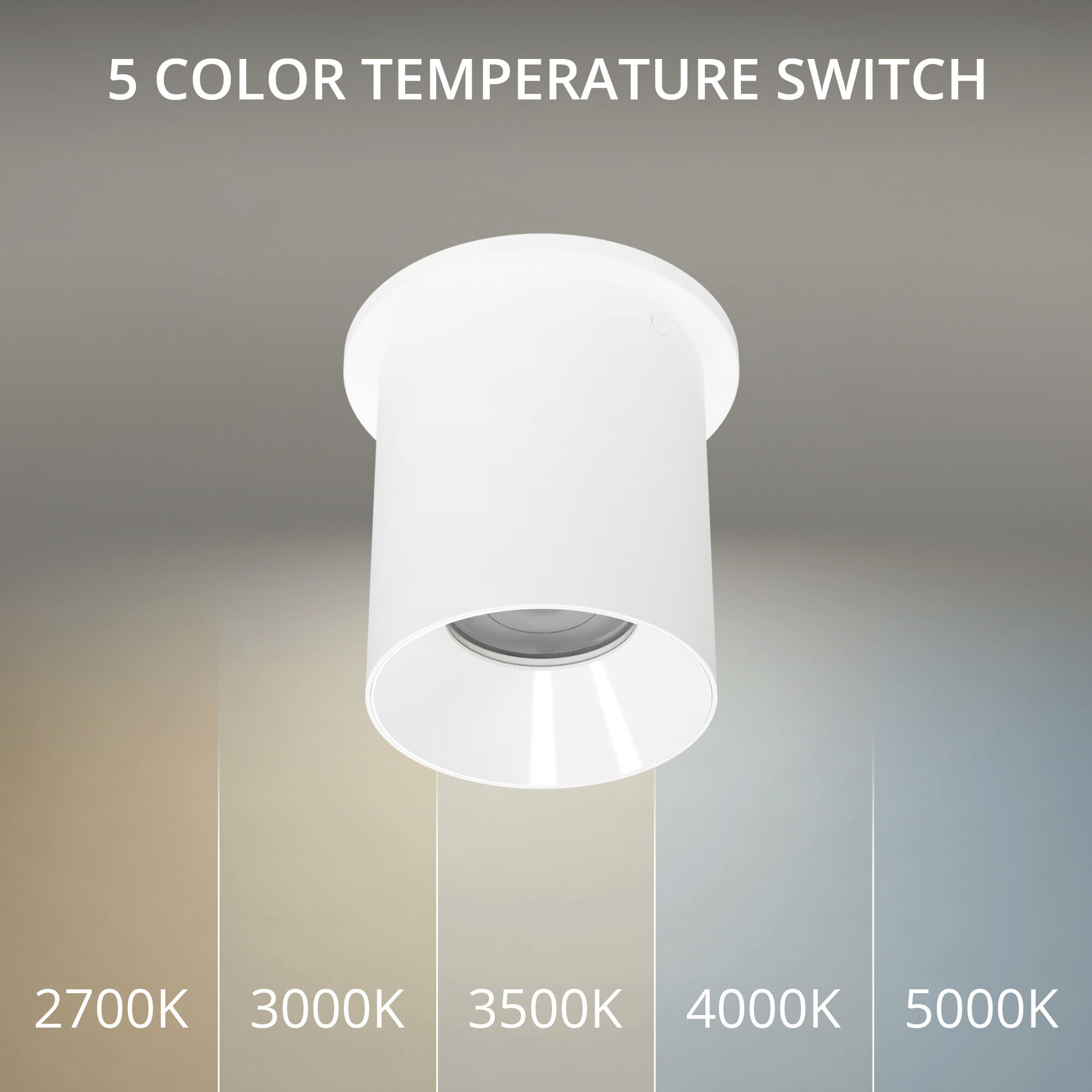 Zoron LED 3.63 inch White Outdoor Ceiling Lighting