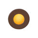 Tyler 120 3.8 watt Bronze Step and Wall Lighting in Amber, WAC Lighting