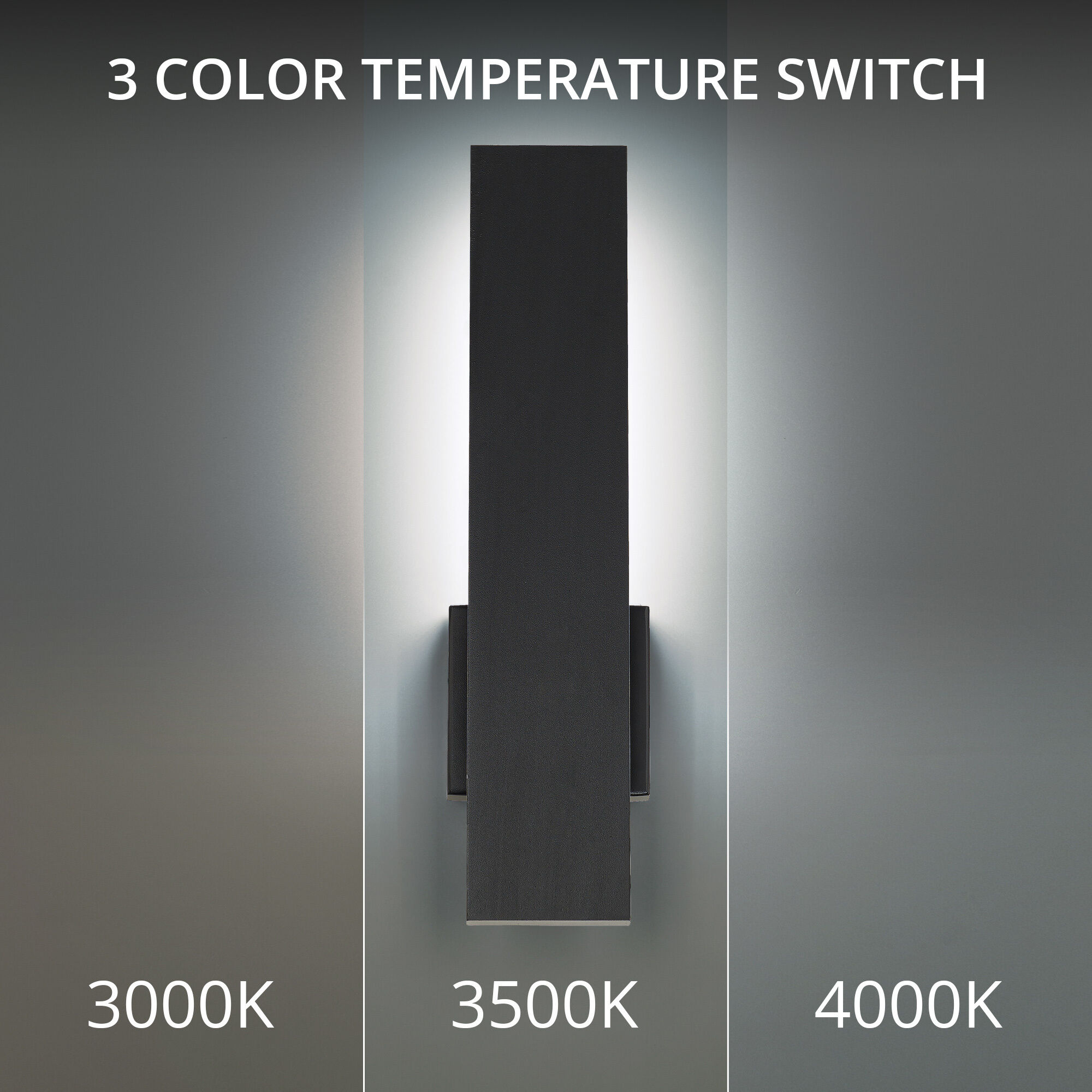 Stag LED 2.5 inch Black Outdoor Wall Light in 3500K, dweLED