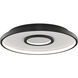 Pinpoint LED 16.38 inch Black Flush Mount Ceiling Light in 4000K, dweLED